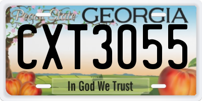 GA license plate CXT3055