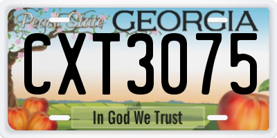 GA license plate CXT3075