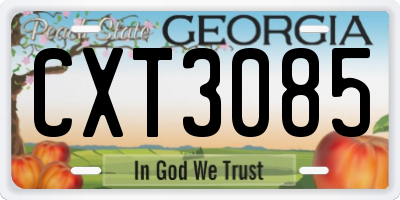 GA license plate CXT3085
