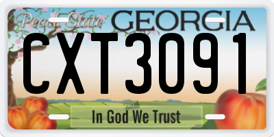 GA license plate CXT3091