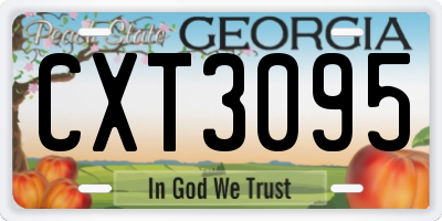 GA license plate CXT3095