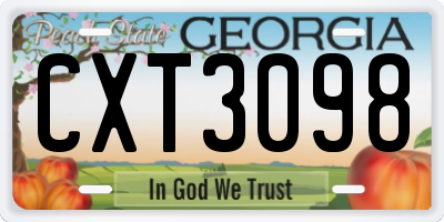 GA license plate CXT3098