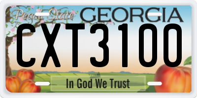 GA license plate CXT3100