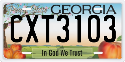 GA license plate CXT3103