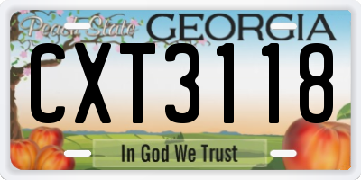 GA license plate CXT3118