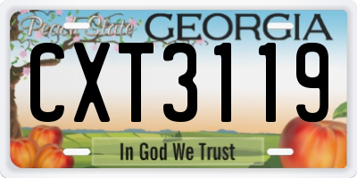 GA license plate CXT3119