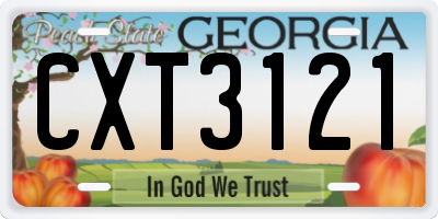 GA license plate CXT3121