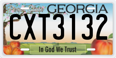 GA license plate CXT3132