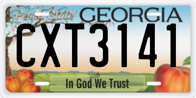 GA license plate CXT3141