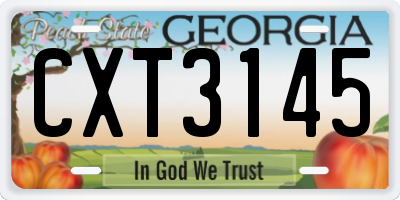 GA license plate CXT3145