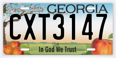 GA license plate CXT3147