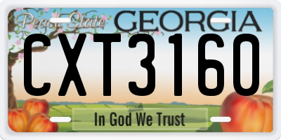 GA license plate CXT3160