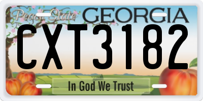 GA license plate CXT3182