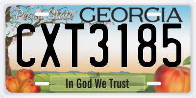 GA license plate CXT3185