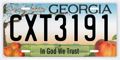 GA license plate CXT3191