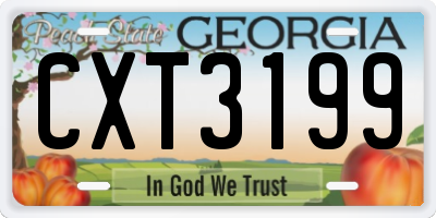 GA license plate CXT3199