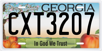 GA license plate CXT3207