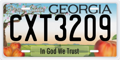 GA license plate CXT3209