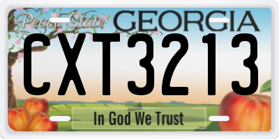 GA license plate CXT3213