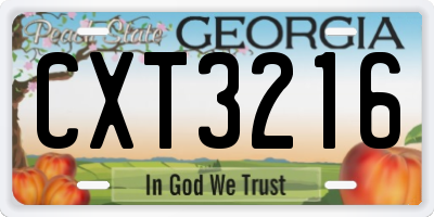 GA license plate CXT3216