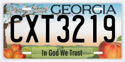 GA license plate CXT3219
