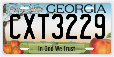 GA license plate CXT3229