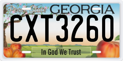 GA license plate CXT3260