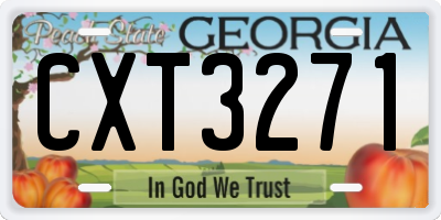 GA license plate CXT3271