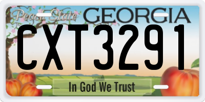 GA license plate CXT3291