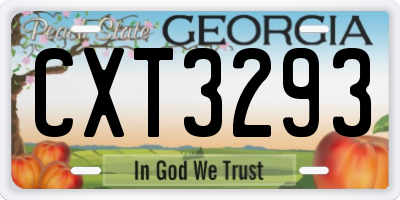 GA license plate CXT3293