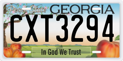GA license plate CXT3294