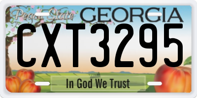 GA license plate CXT3295
