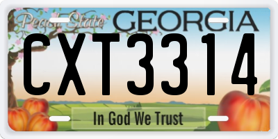 GA license plate CXT3314