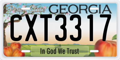 GA license plate CXT3317