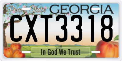 GA license plate CXT3318