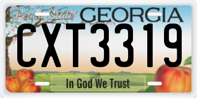 GA license plate CXT3319