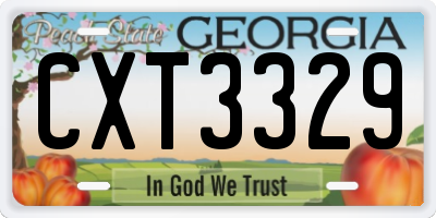 GA license plate CXT3329