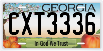 GA license plate CXT3336
