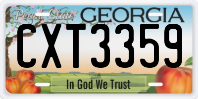 GA license plate CXT3359
