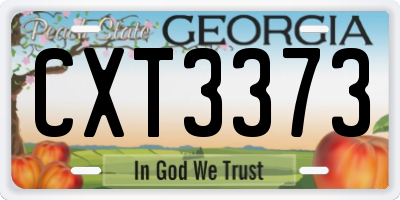 GA license plate CXT3373