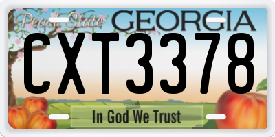 GA license plate CXT3378