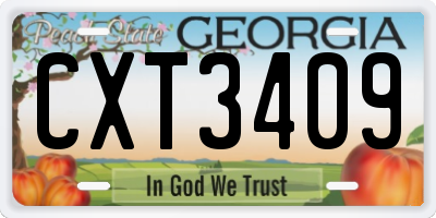 GA license plate CXT3409