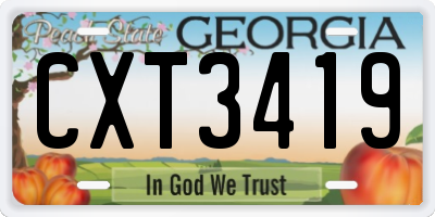 GA license plate CXT3419