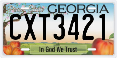 GA license plate CXT3421