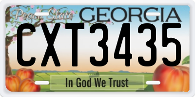 GA license plate CXT3435