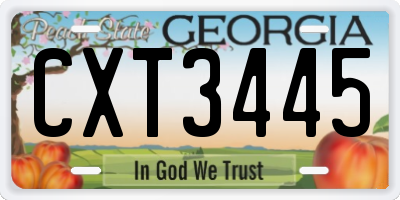 GA license plate CXT3445