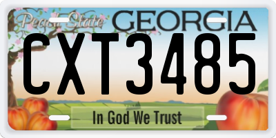 GA license plate CXT3485