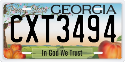 GA license plate CXT3494