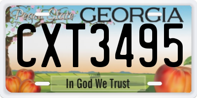 GA license plate CXT3495