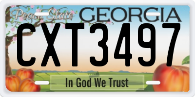 GA license plate CXT3497